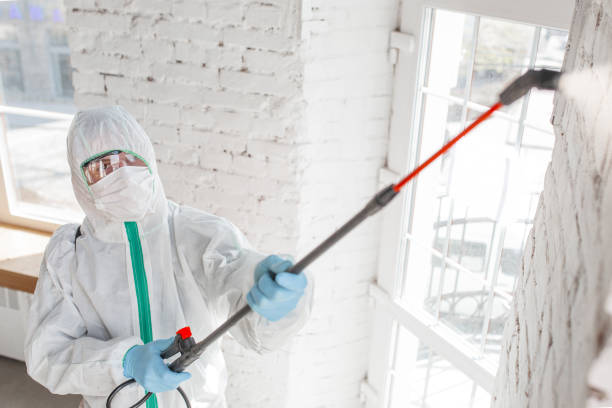 Best Health and Safety Mold Remediation in Manchester, MO